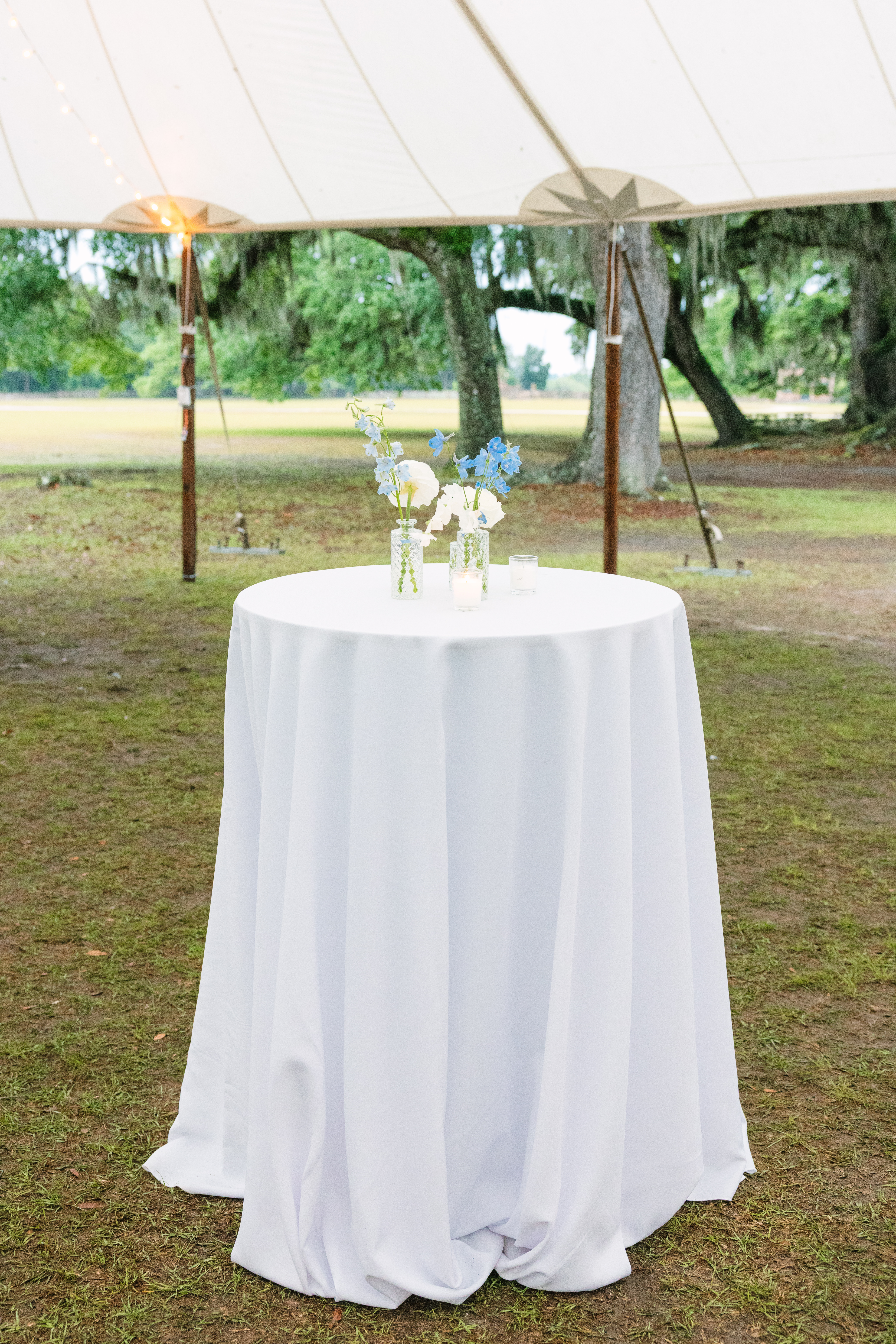 Caroline Cody 1054 dana cubbage bouquets and bowties middleton