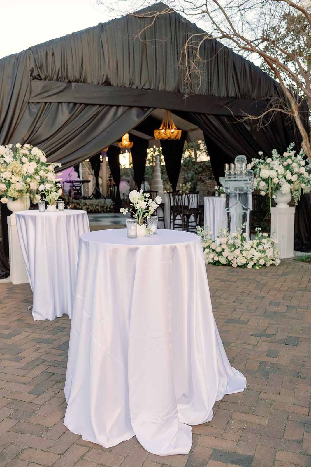 Details 9726 websize gadsden eva and co events wild cotton photos