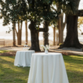 E05 A5396 makenzie hamilton photog pphg planning lowndes river house cocktail