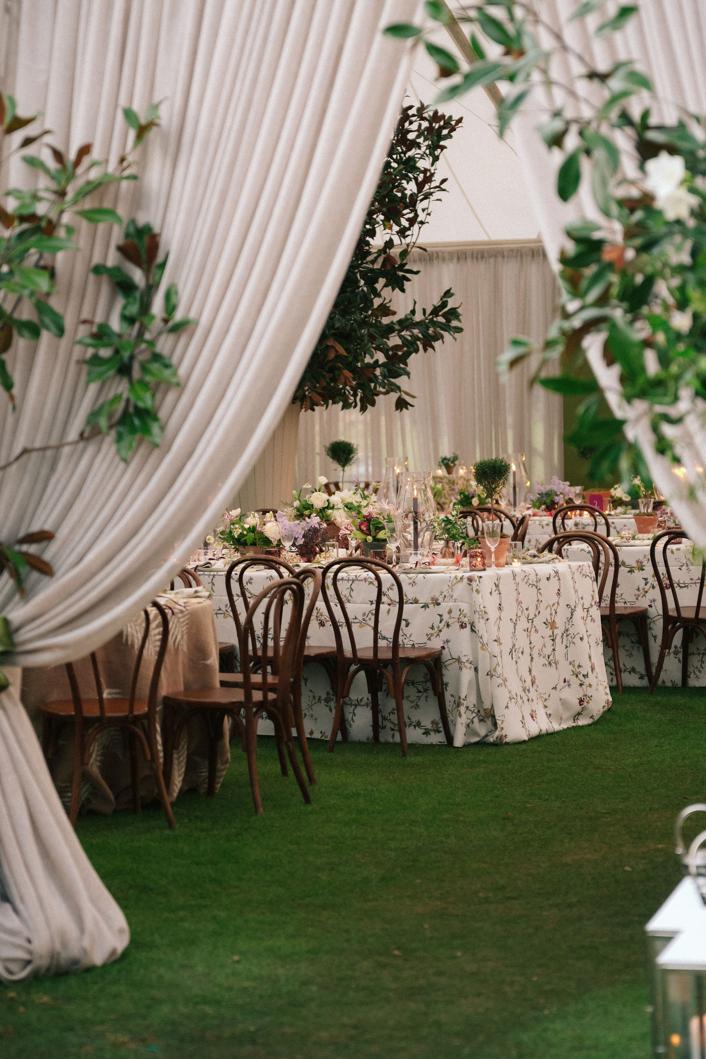 DSC02331 melissa toms photog elisavet yeamans bentwood