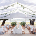 Whitten Lowndes Grove Wedding 454 buttercup events natasha cole photog tuscan king james charlotte silver rim bb natural ballroom clear with liner