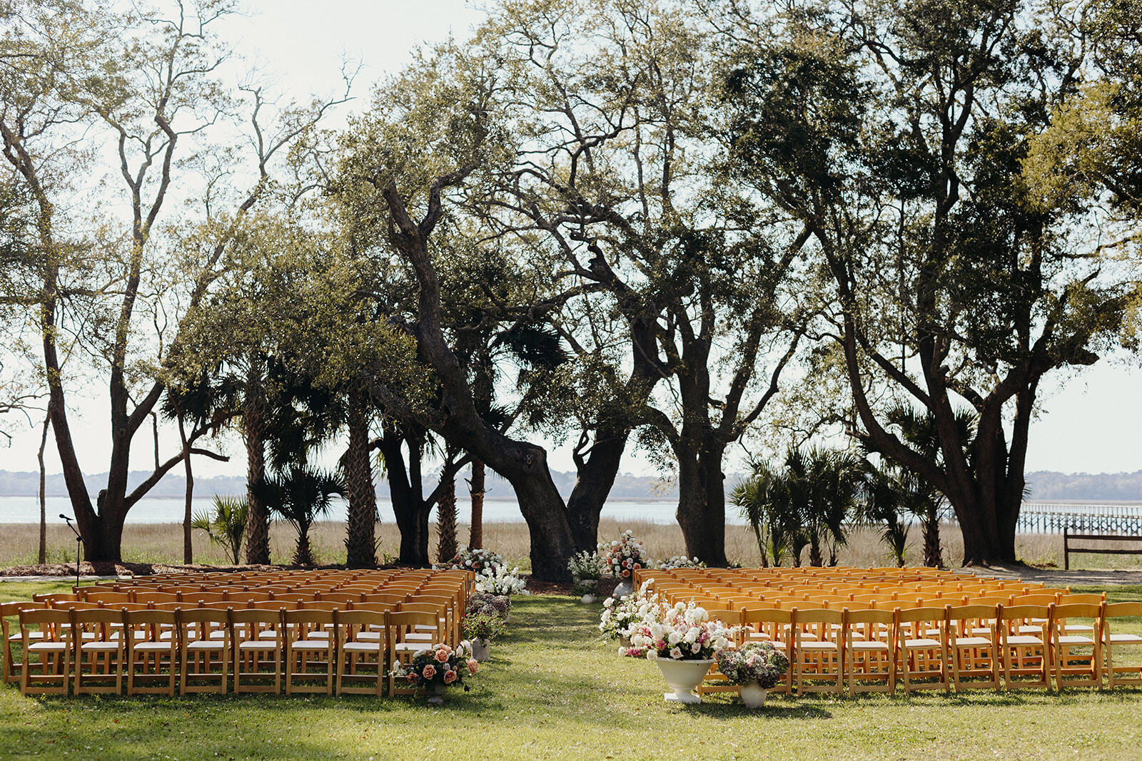 CD 468 caroline ro photog buttercup lowndes natural oakwood