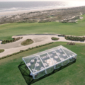 Reception 0126 websize wild cotton photog buttercup ocean course 40x85 clear