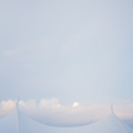 Shannanand Michael Reception 1 Details 2 websize yeamans ellis events meghan baskin 60x110 sail