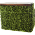 Boxwood Maude Bar Right Small