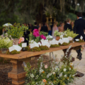 Leah Matt WED digital 052026 406 elisavet events lindsey shorter photog baldrick YHC