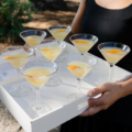 Cocktail Hour Olivia Lucas GM Photo LLC Charleston SC 6 lowndes pphg events gm visions martini