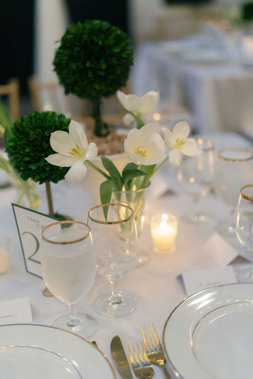 Kelsey Nelson Photography 821 carter event co wah 4x8 gold ballroom diva gold rim plates arezzo