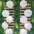 Brynn Tyler Lowndes Grove Wedding 6 aaron and jillian photog pure luxe lg umbrella
