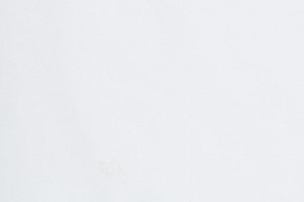 01 White