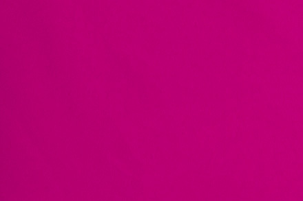 14 Raspberry
