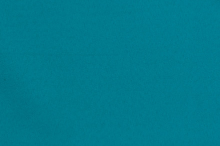 41 Teal