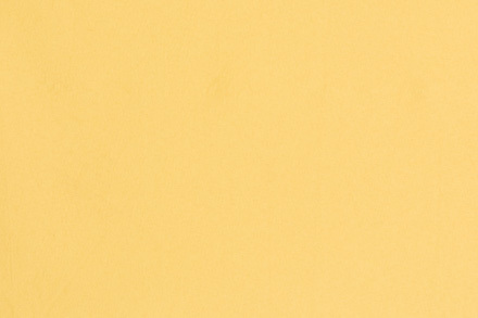 65 Mustard Gold