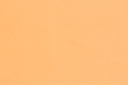 66 1 Goldenrod