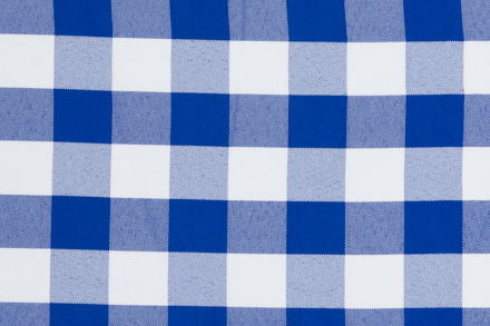 76 Blue Gingham