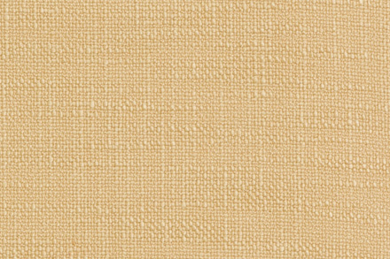 06 Mustard