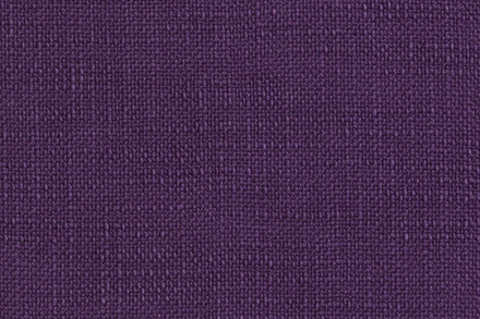 16 Plum