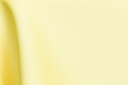 05 Lemon
