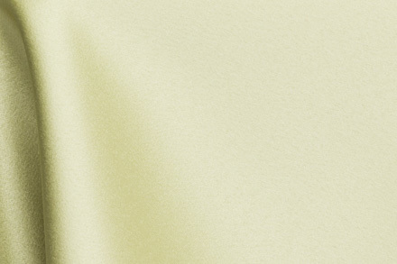 41 Light Olive