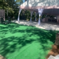 IMG 1521