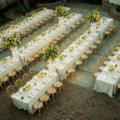 Looney Wedding Haley Jane Photography819 candice lorraine gadsden martha bentwood