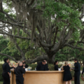 M Mc Bride Mudd Wedding 872 websize ellis events private home 44x123 natural oakwoods natural curve