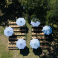 Ceremony Details Olivia Lucas GM Photo LLC Charleston SC 4 lowndes pphg events gm visions blue scallop