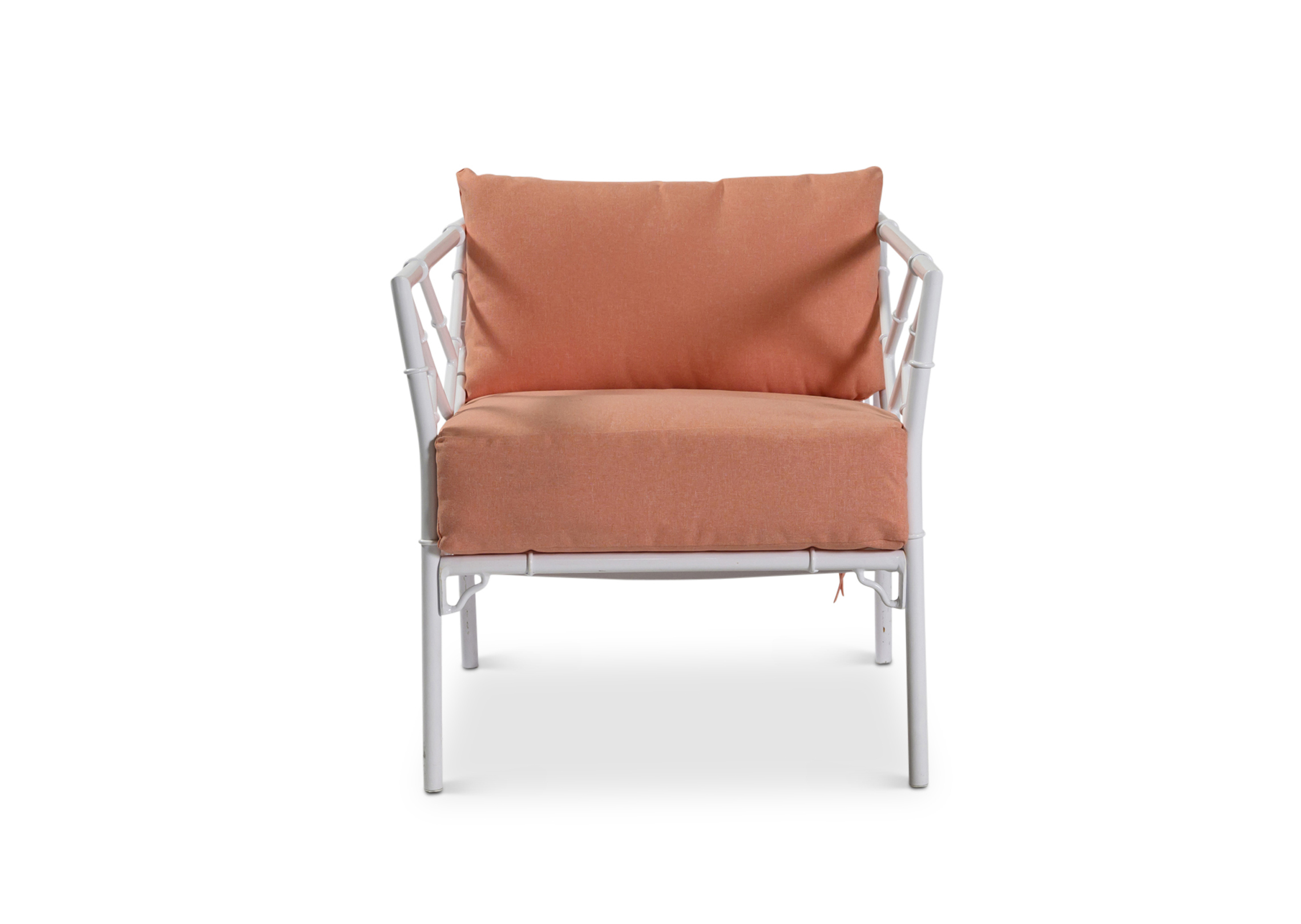 Avida Arm Chair - Coral