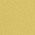 63 Acid Green