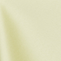 41 Light Olive