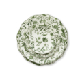 Snyder Plates 2025eden 18